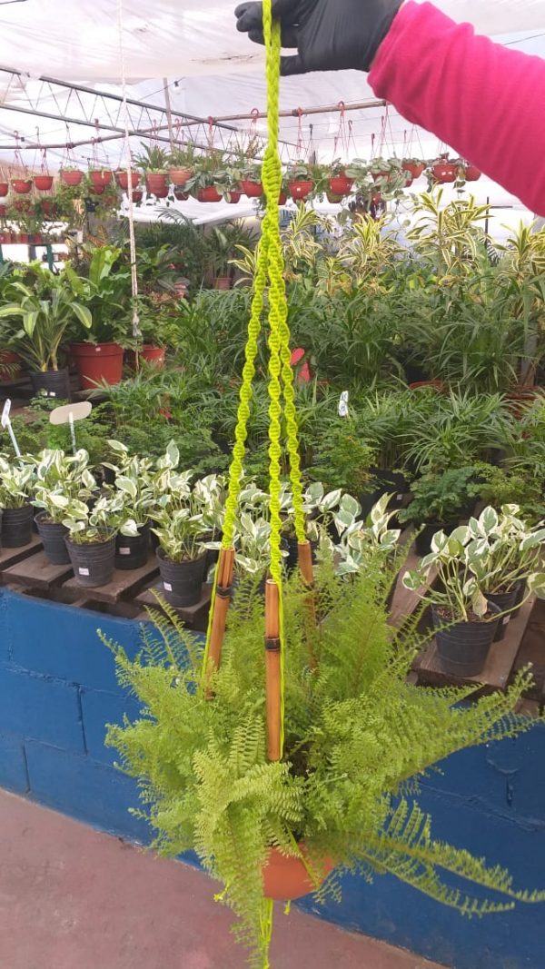 Colgante de Soga con Caña - Imagen 2
