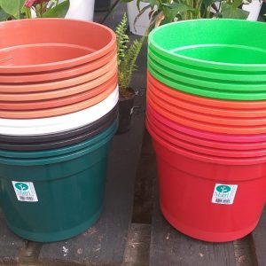 ECO Matri