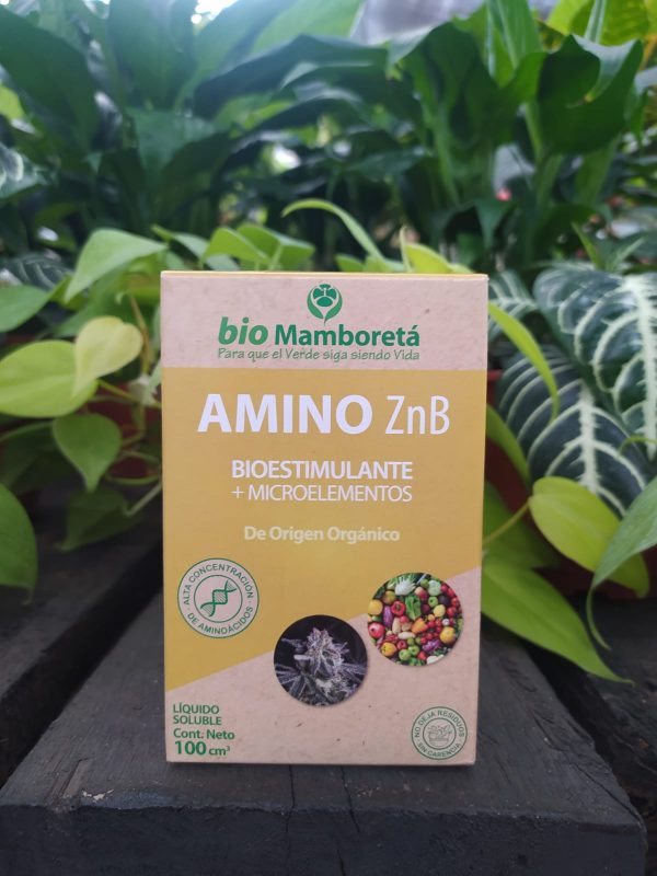 Mamboretá AMINO ZnB