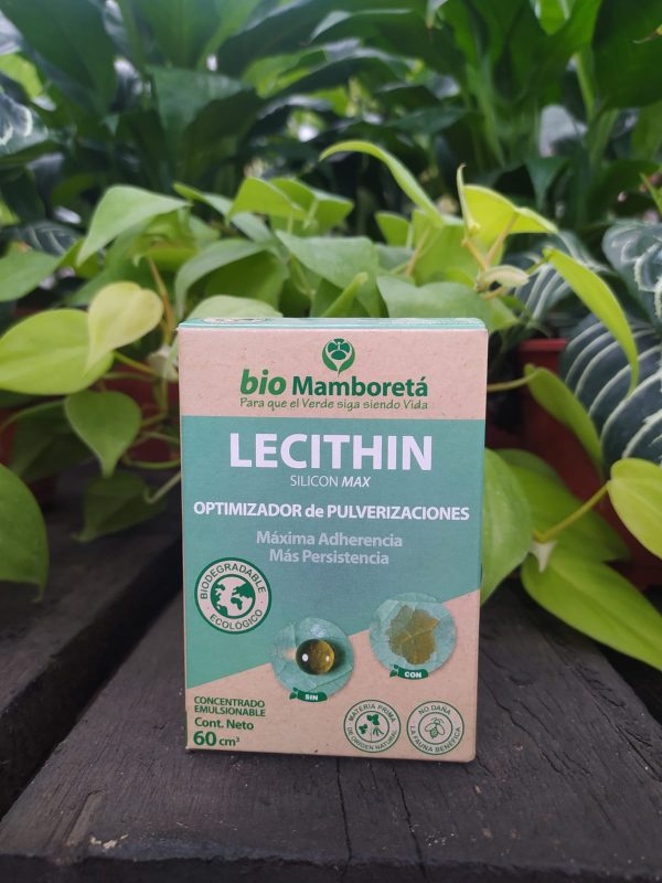 Mamboretá LECITHIN