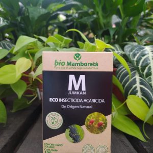 Mamboretá M