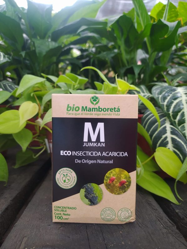 Mamboretá M