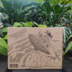 TOP CROP TRIPACK AUTO
