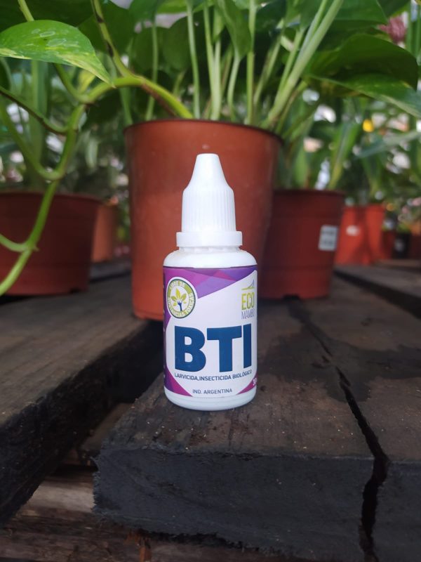 Eco Mambo BTI 30cc