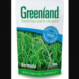 Bermuda 100 gr
