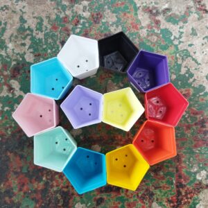 Pentagonal