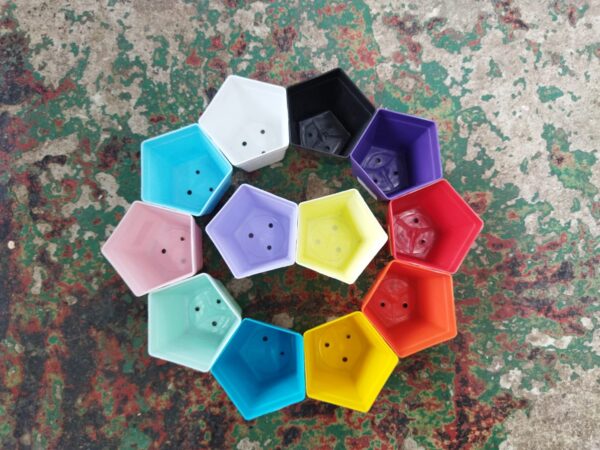 Pentagonal