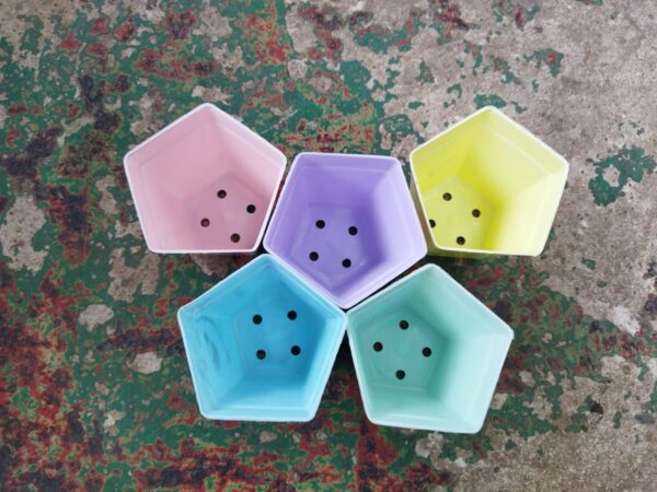 Pentagonal - Imagen 4