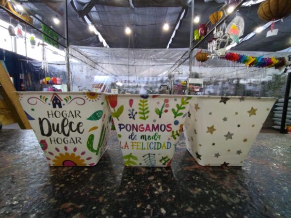 Piramidal IML - Imagen 5