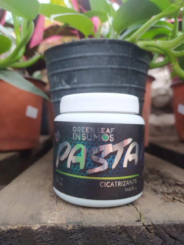 Green Leaf Pasta Cicatrizante 100cc