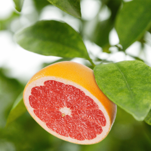 Pomelo Rojo