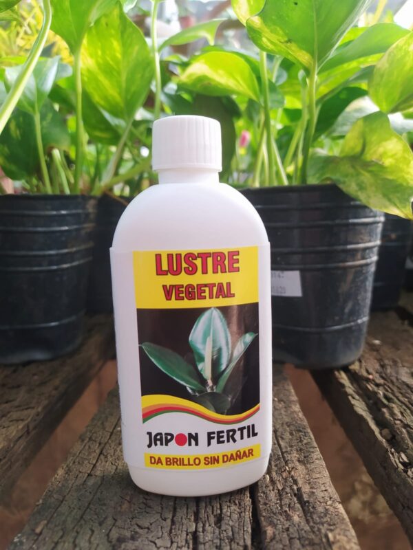 JAPON FERTIL BRILLO VEGETAL 120CC