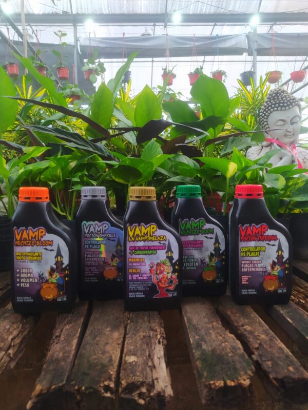PROMO X5 VAMP 500CC (-30% en efectivo)