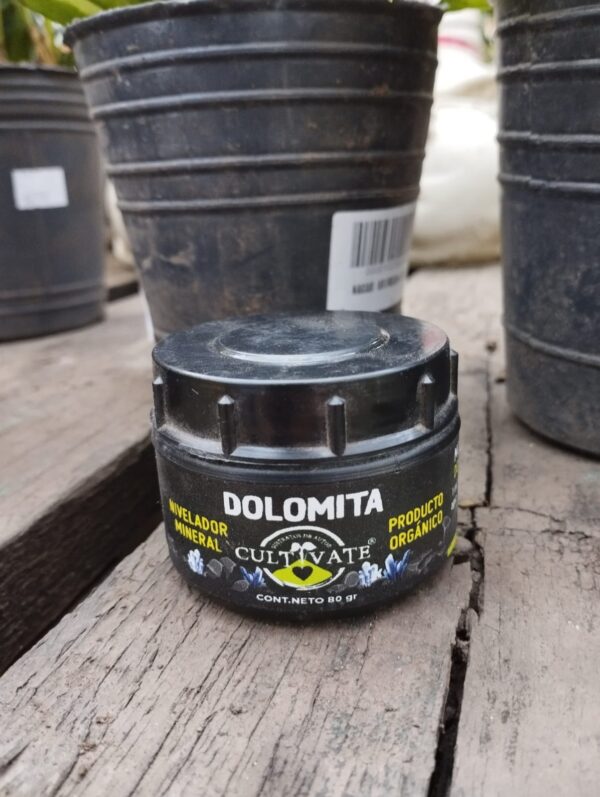 Dolomita 80gr