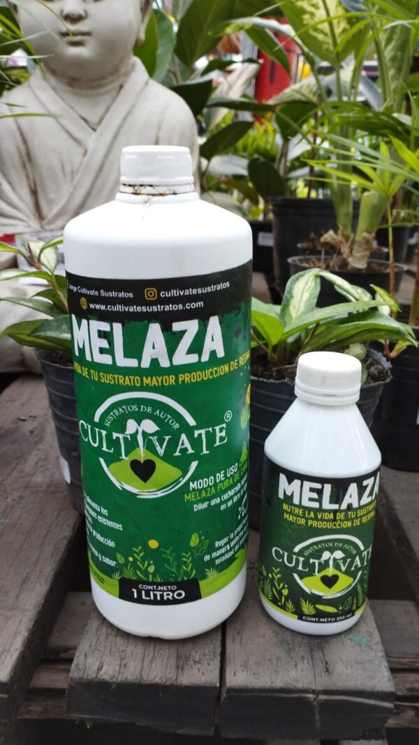 Cultivate Melaza