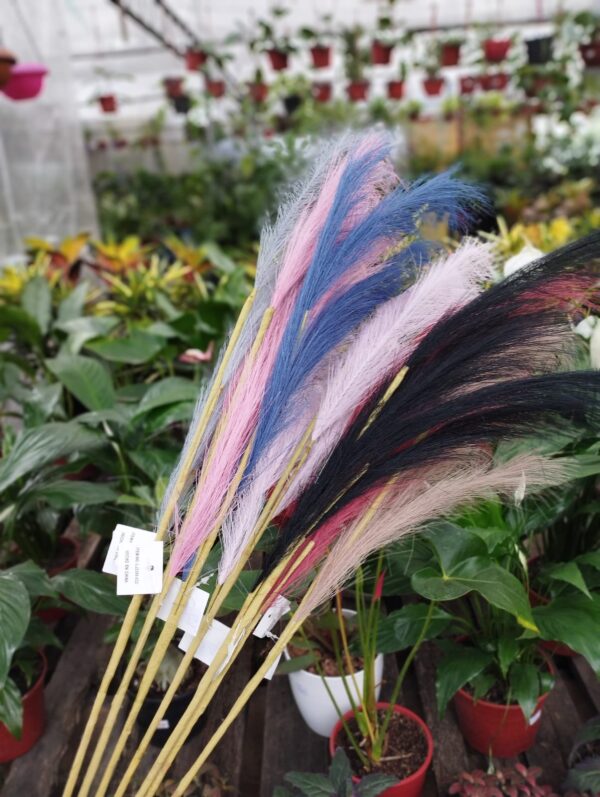 Plumerillos Deco - Imagen 2