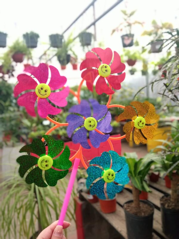 Molino 5 Flores
