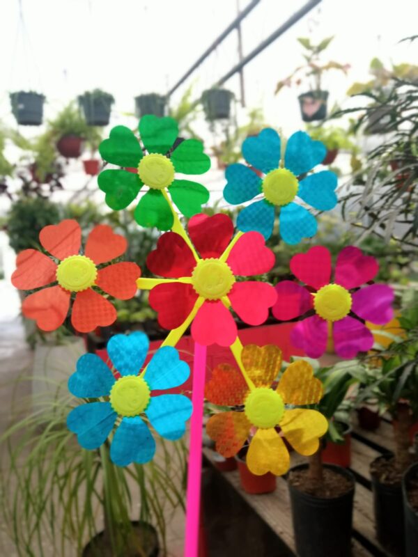 Molino 7 Flores