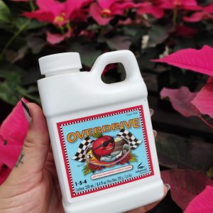 ADV OVERDRIVES 250ML
