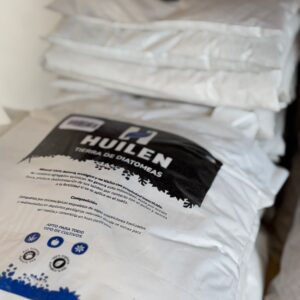 Tierra de Diatomeas Huilen 1KG